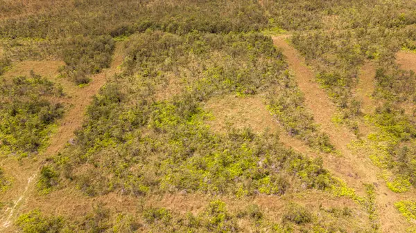 18-3430 GLENWOOD RD, Volcano, HI 96785