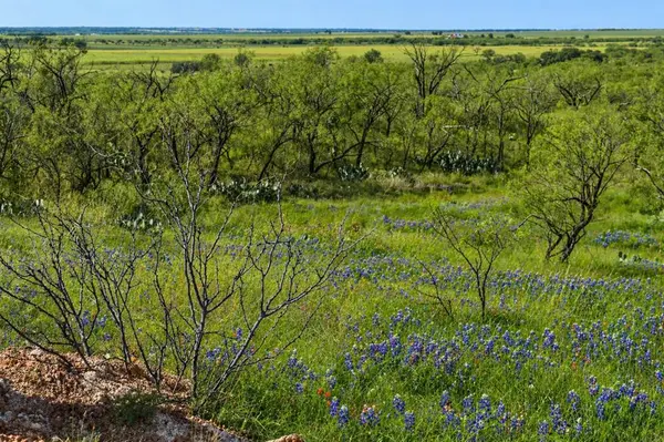 85 Private Road 527, Brady, TX 76825