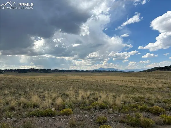 10055 County Road 53, Hartsel, CO 80449