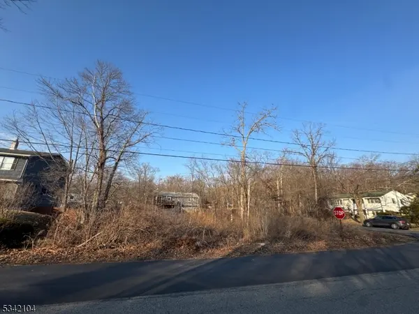 45 Belton St, Byram Twp., NJ 07874