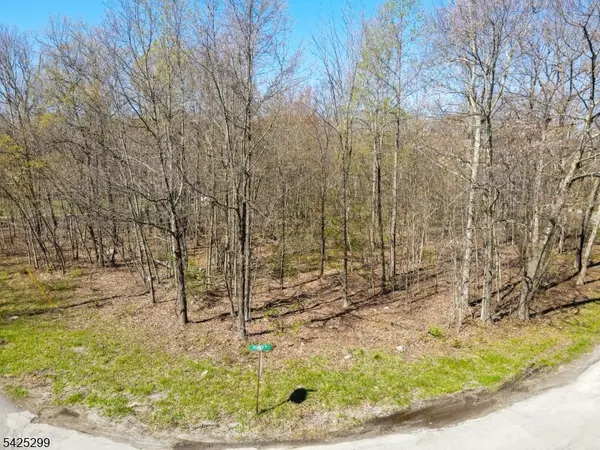 51 E Shore Lake Owassa Rd, Frankford Twp., NJ 07826