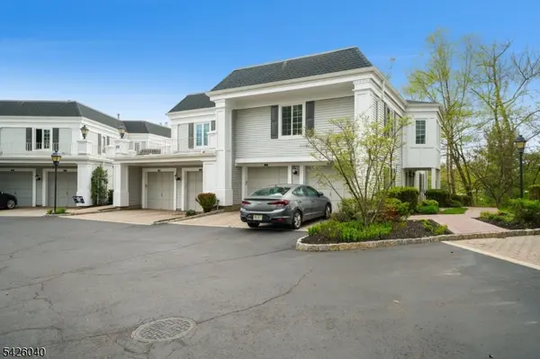 217 Terrace Dr, Chatham Twp., NJ 07928