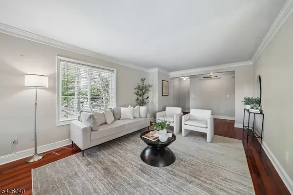 217 Terrace Dr, Chatham Twp., NJ 07928