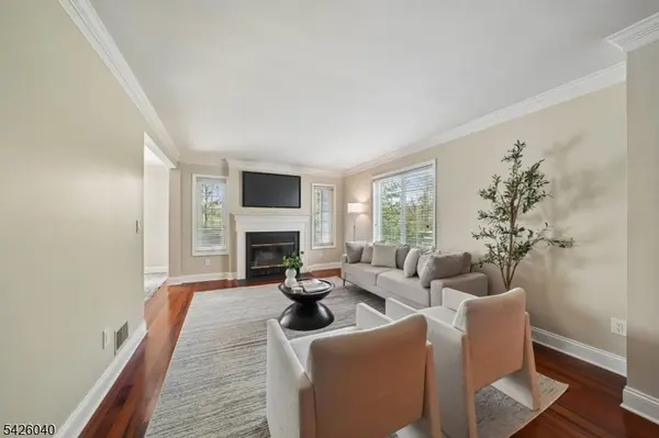 217 Terrace Dr, Chatham Twp., NJ 07928