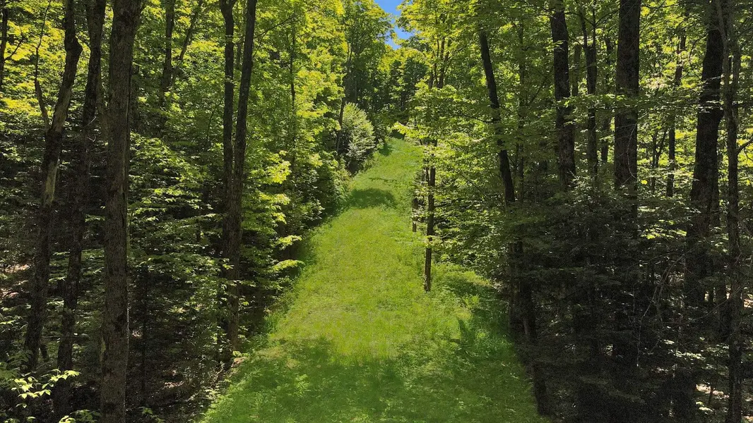 Lot 165 Glen Lake CT, Dysart Et Al, ON K0M 1M0