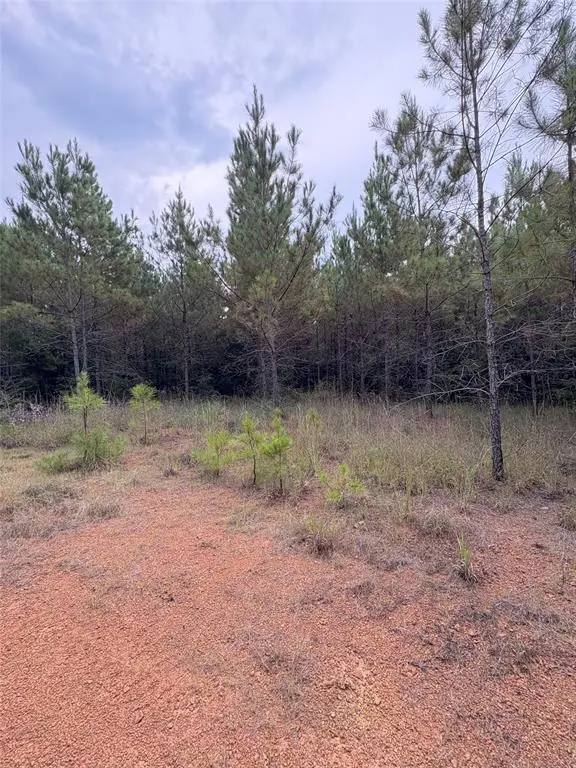 1388 County Road 1060, Center, TX 75935