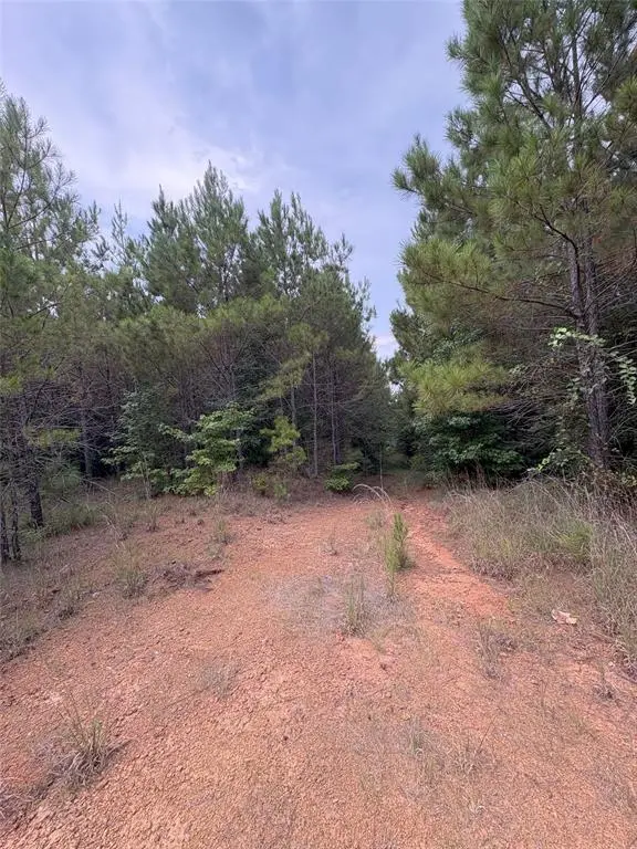 1388 County Road 1060, Center, TX 75935