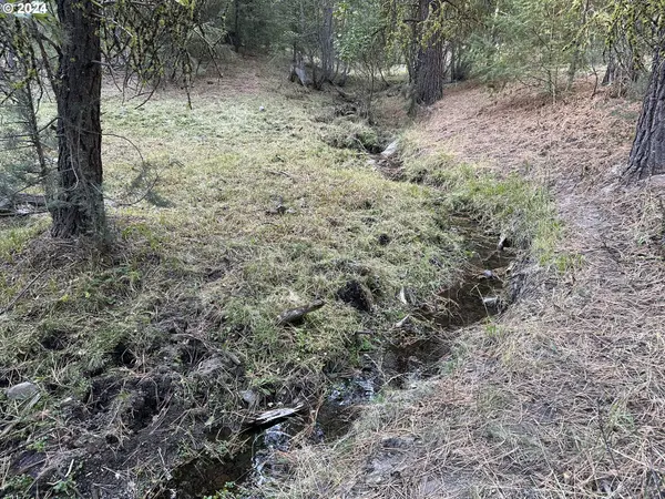 0 152 RD, Drewsey, OR 97904