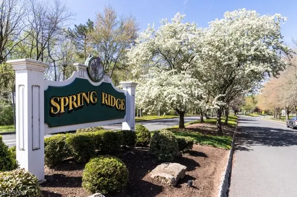 184 Alexandria Way, Bernards Twp., NJ 07920