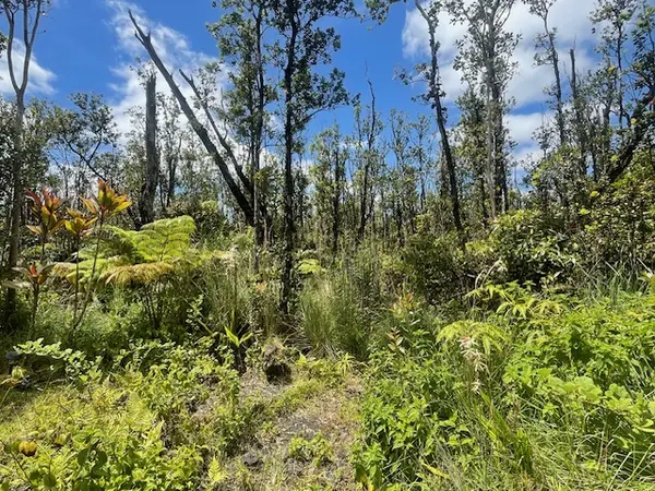 KOKOKAHI RD, Volcano, HI 96785