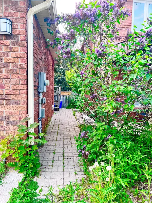 71 Trillium CRES #Bsmt, Barrie, ON L4N 6H6