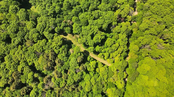 Lot 165 Glen Lake CT, Dysart Et Al, ON K0M 1M0