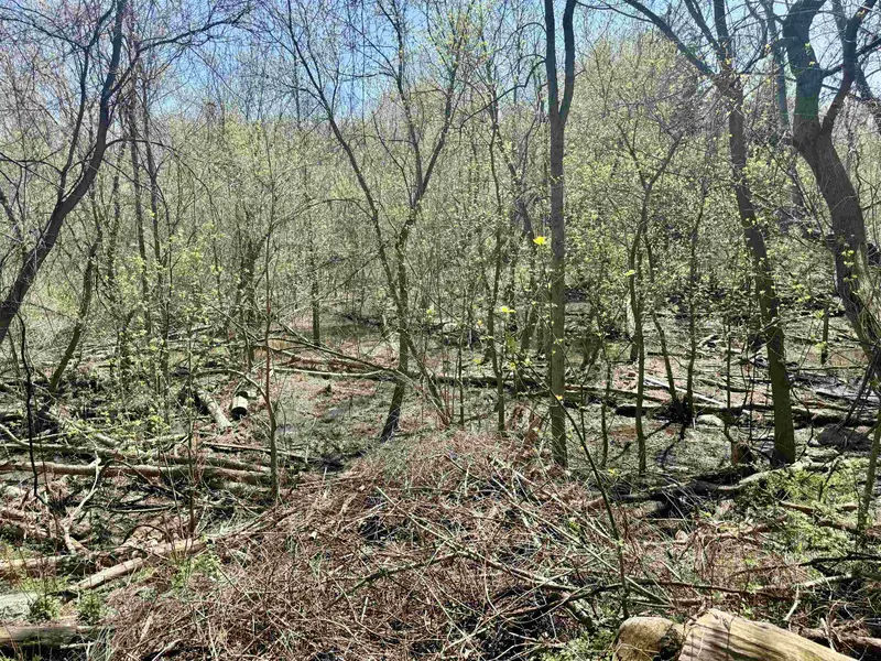 11000 Riverside DR, Bethany Twp, MI 48880