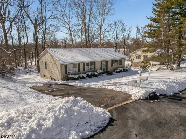 9 Woodland Ter, High Bridge Boro, NJ 08829