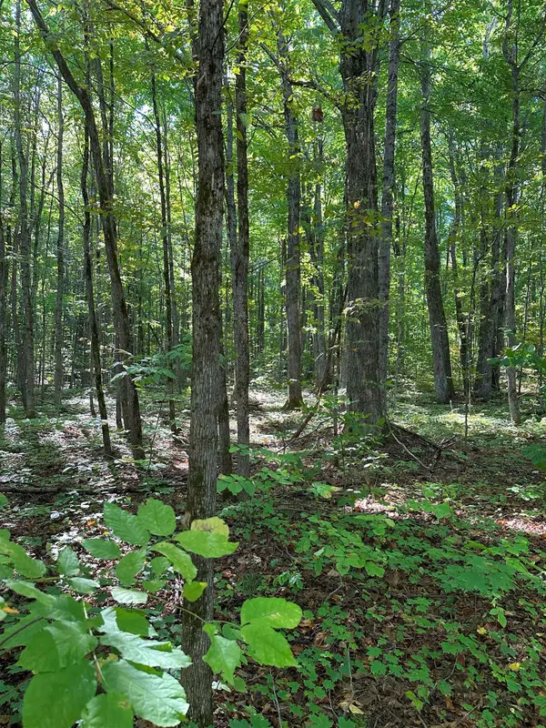 000 Woodland Drive NE, Coldsprings Twp, MI 49646