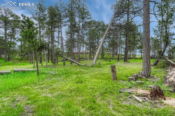 01 Wyandott DR, Colorado Springs, CO 80908