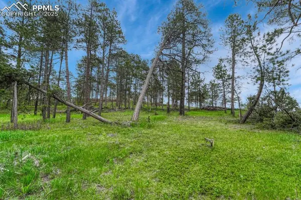 01 Wyandott DR, Colorado Springs, CO 80908