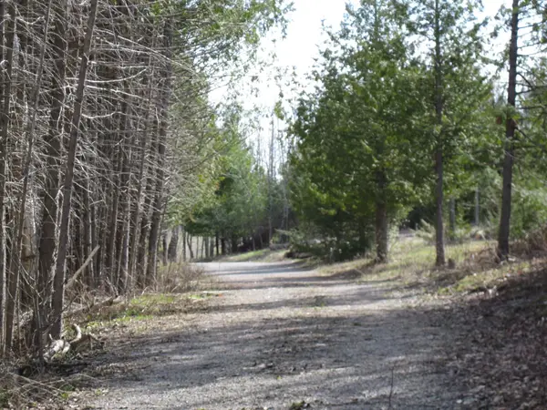 81 Silver Heights DR, Trent Hills, ON K0L 1Y0