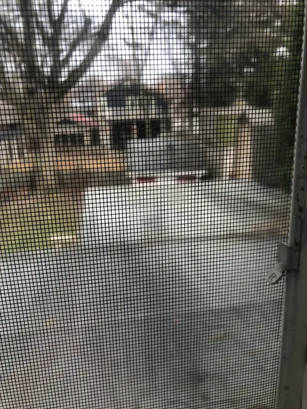 58 Woodland AVE, St. Catharines, ON L2R 5A3