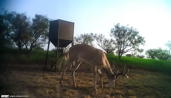 2267 County Road 414, Brady, TX 76825