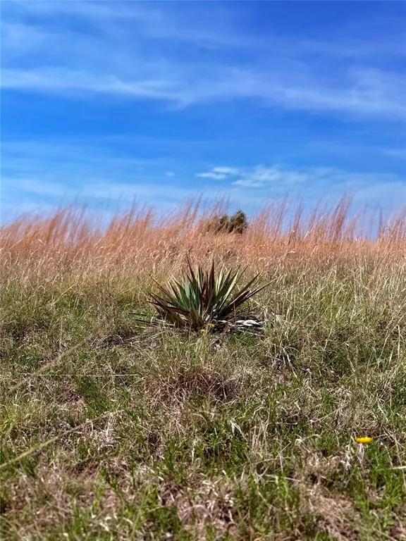 39 CR 330, Goldthwaite, TX 76844