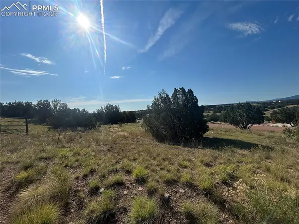 110 Hideaway TRL, Rockvale, CO 81244