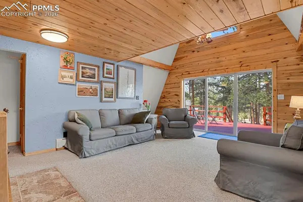 881 Trail Creek RD, Lake George, CO 80827