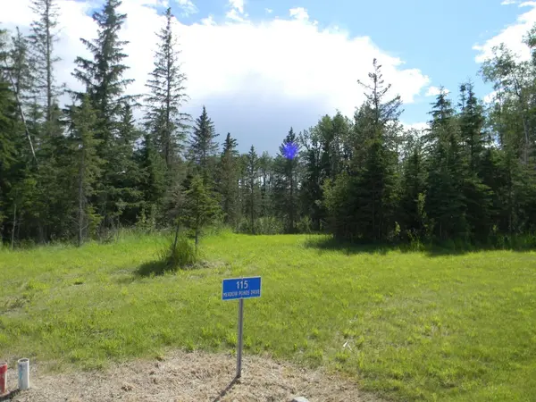 115 Meadow Ponds DR, Rural Clearwater County, AB T4T 1A7