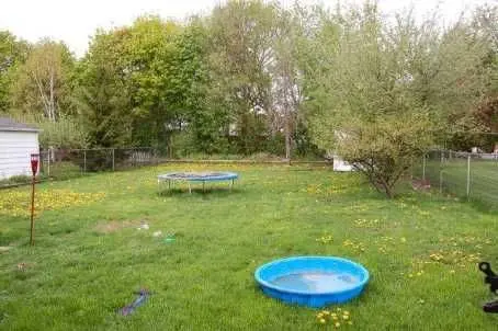 80 Jessie ST, Brampton, ON L6Y 1L7