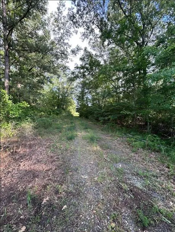 00 Grand Cane Fire Tower Road, Grand Cane, LA 71032