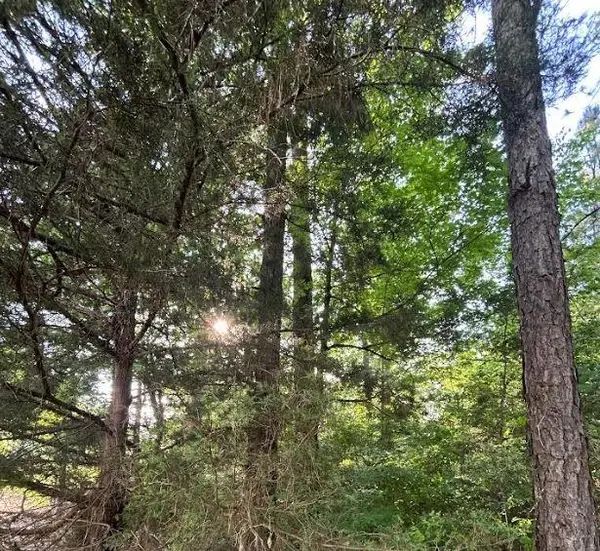 00 Grand Cane Fire Tower Road, Grand Cane, LA 71032