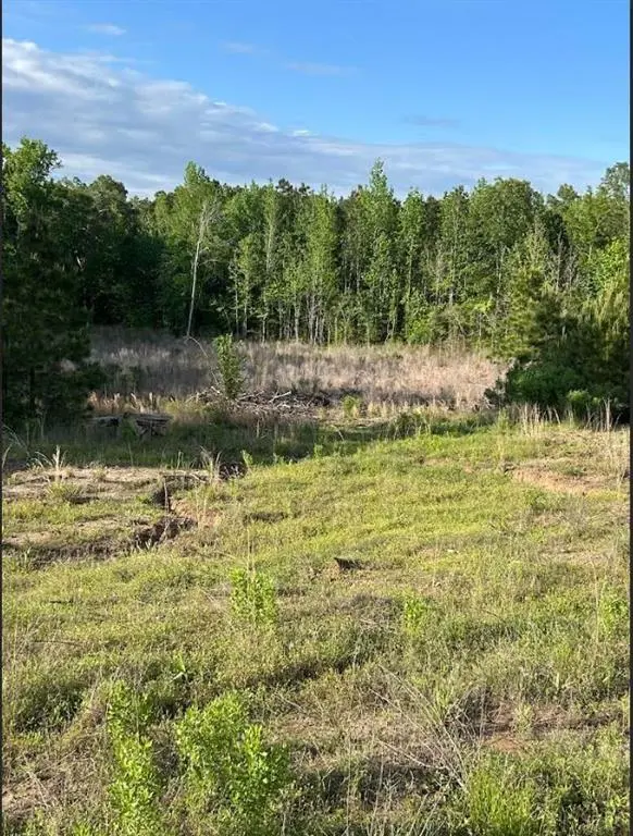 00 Grand Cane Fire Tower Road, Grand Cane, LA 71032