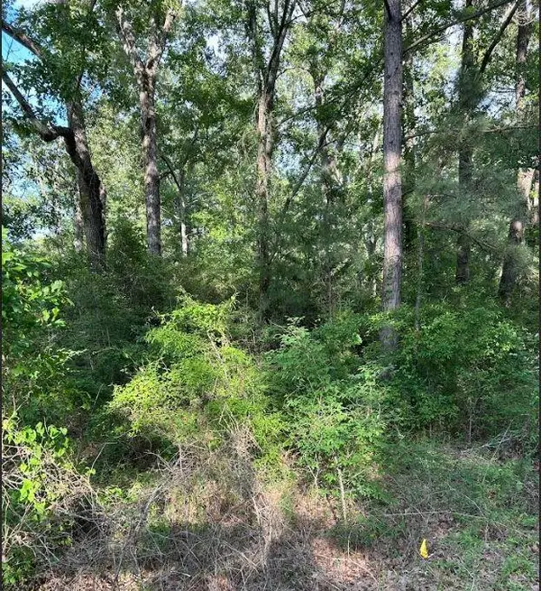 00 Grand Cane Fire Tower Road, Grand Cane, LA 71032