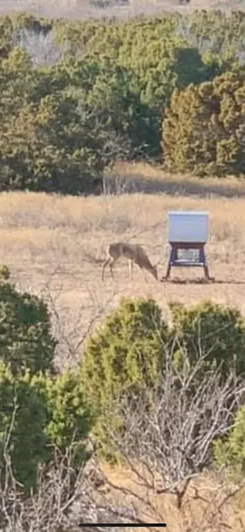 TBD County 3848 Road, Poolville, TX 76487