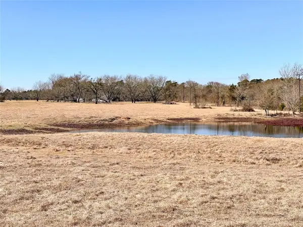 0 Hwy 155 & CR 435, Frankston, TX 75763