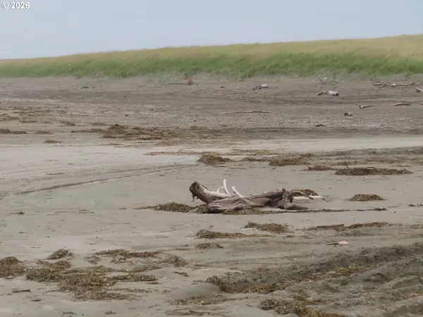 State Route 105, Grayland, WA 98547