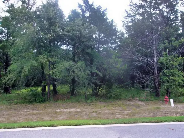 908 Eagle Oaks Drive, Gordonville, TX 76245