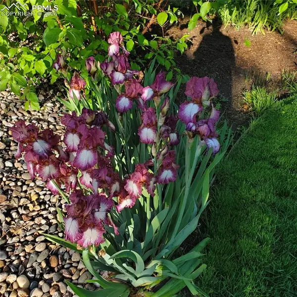 3255 Wesley LN, Colorado Springs, CO 80917