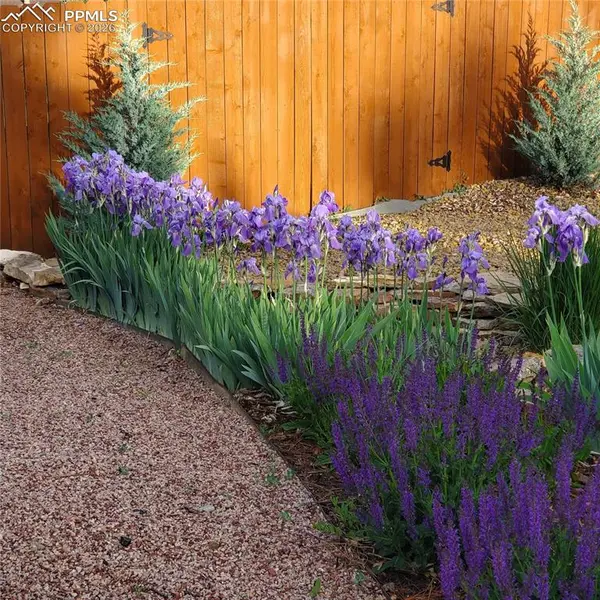 3255 Wesley LN, Colorado Springs, CO 80917