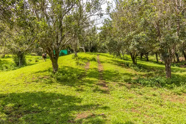 47-4630 CANE HAUL RD, Honokaa, HI 96727