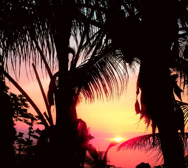 87-493 KAOHE MAUKA RD, Captain Cook, HI 96704