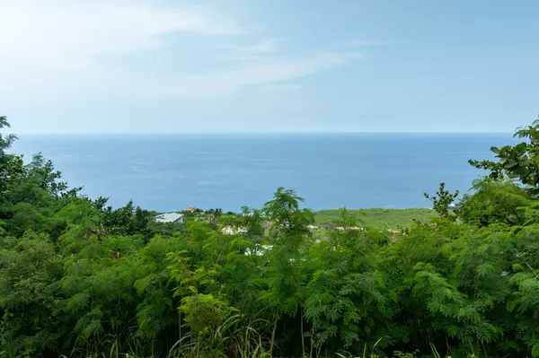 ROAD E, Captain Cook, HI 96704