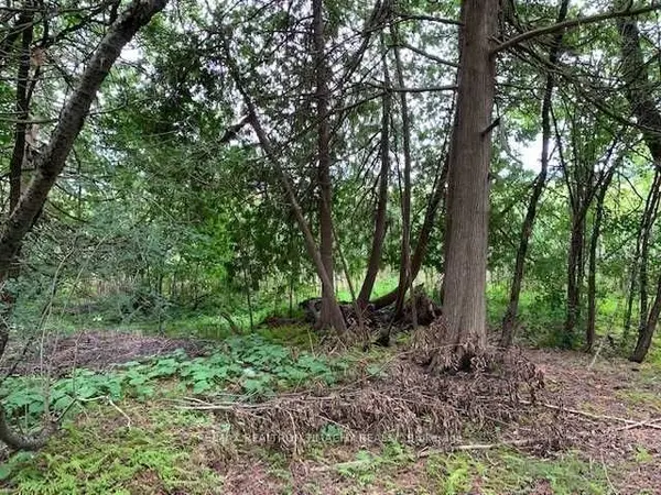 LT 19 RUE KAROLA N/A, Tiny, ON L0L 2J0