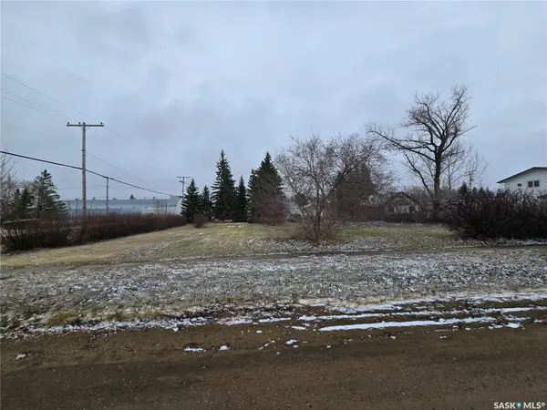 403 Assiniboia AVENUE, Sedley, SK S0G 0J8