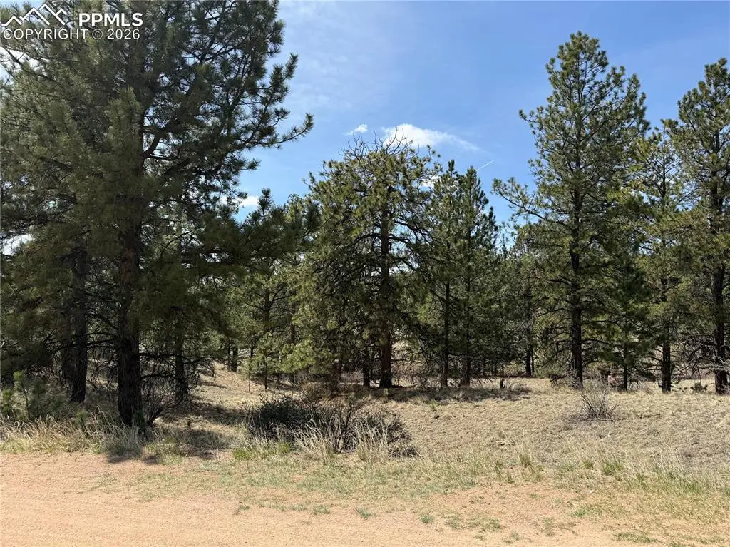 99 Cheyenne WAY, Florissant, CO 80816