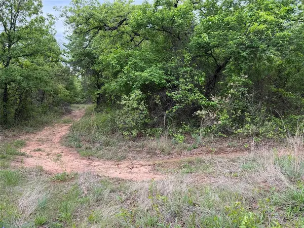 1576 Adell Circle, Peaster, TX 76088