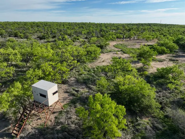 1124 County Road 322, Voss, TX 76888