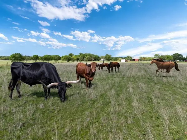 00 B Vz County Road 3804, Wills Point, TX 75169