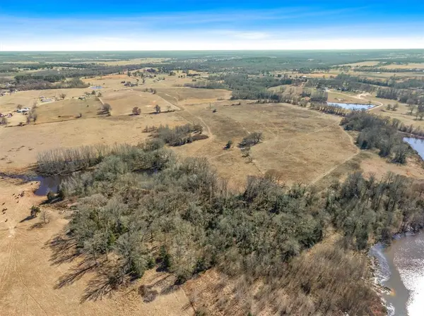 TBD VZ County Road 2317 30 Acres, Canton, TX 75103