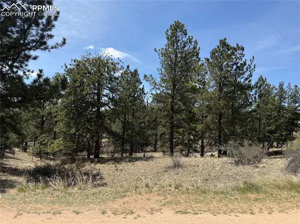 99 Cheyenne WAY, Florissant, CO 80816